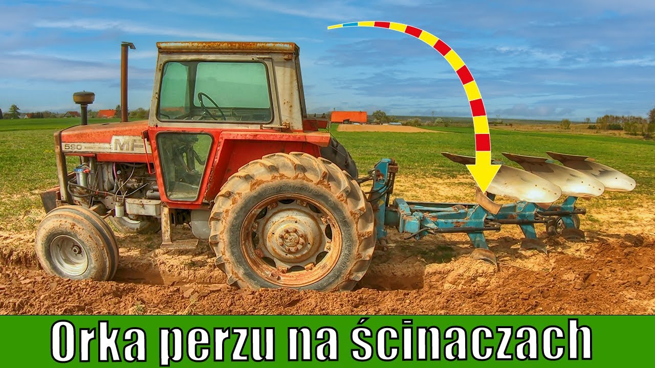 Orka perzu na ścinaczach