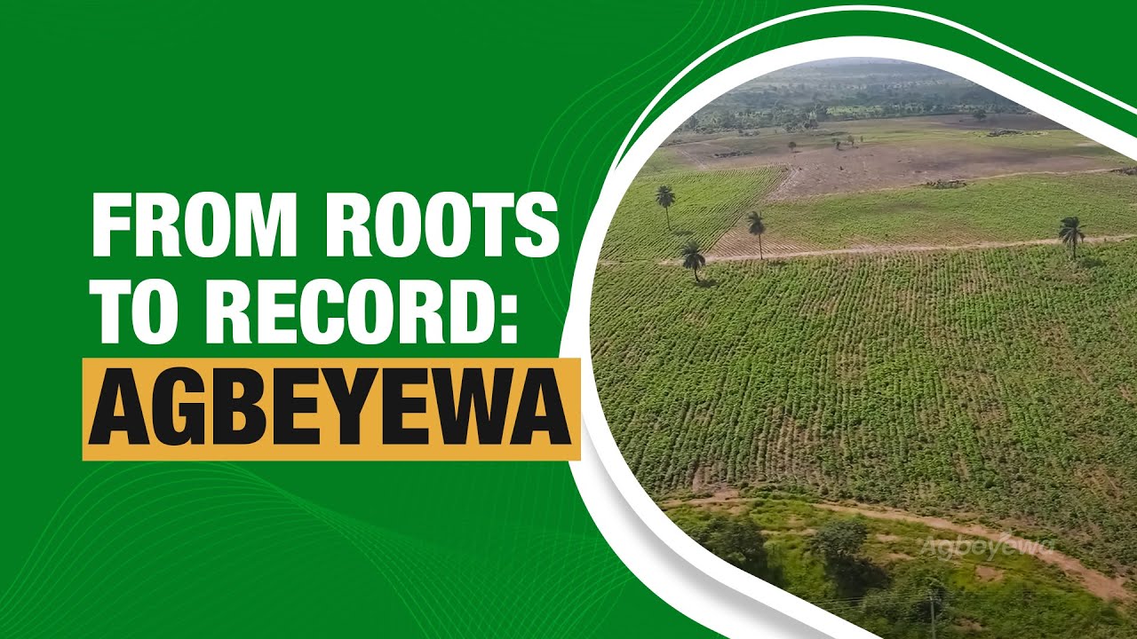 The Story of Agbeyewa – Largest Cassava Farm in The World
