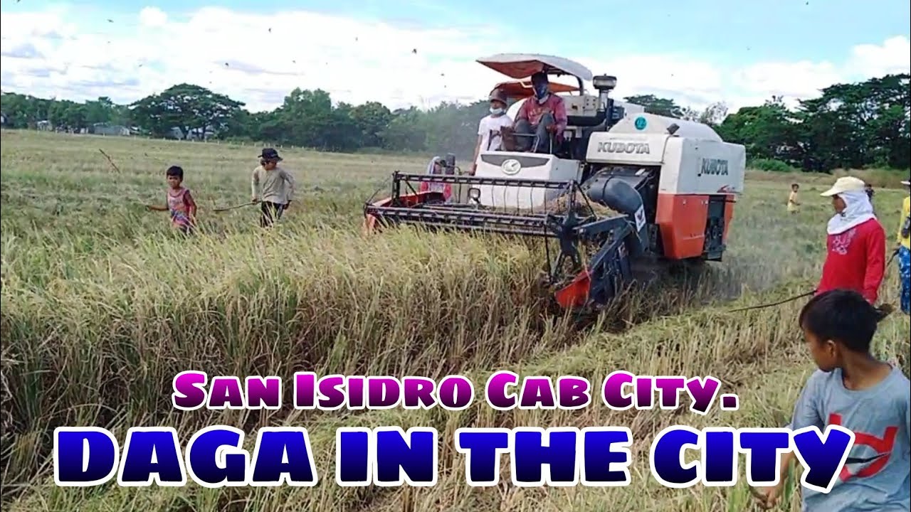 DAGA IN THE CITY BUHAY BUKID JRTV