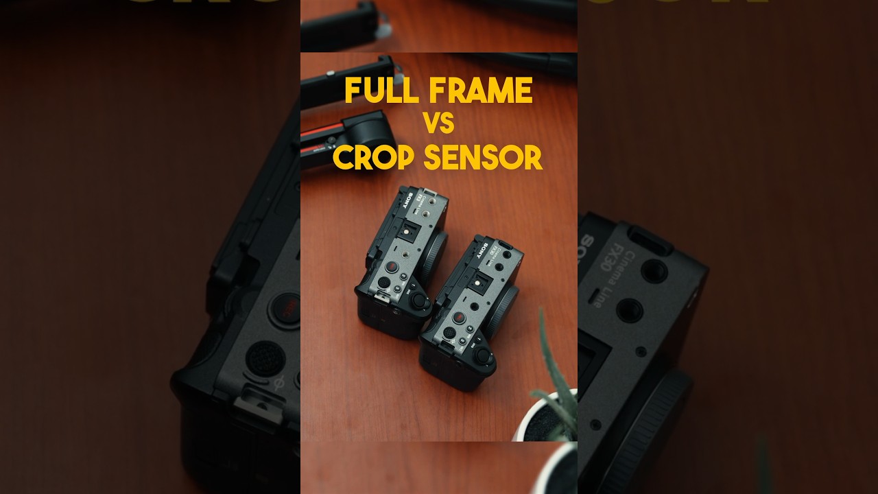 Full Frame Vs. Crop Sensor Cameras. Which one are you picking #sonyalpha #sonyfx3