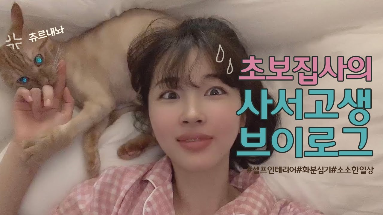[일상vlog]초보집사의 사서고생 브이로그, 이사했어요!