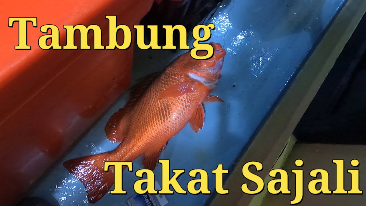 Sabah Deep Sea fishing | Takat Sajali | Pulau Mengalum (Borneo Seamaster 2) Captain Adzmie
