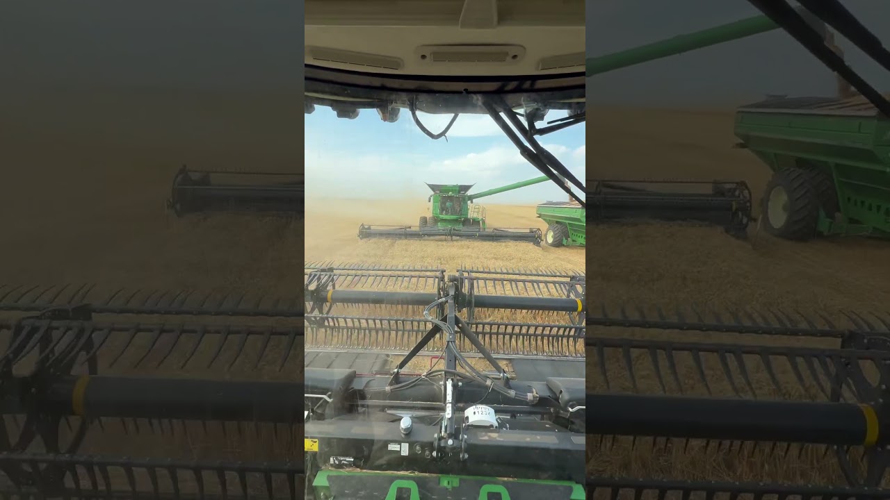 Let&rsquo;s Play A Game of Chicken!