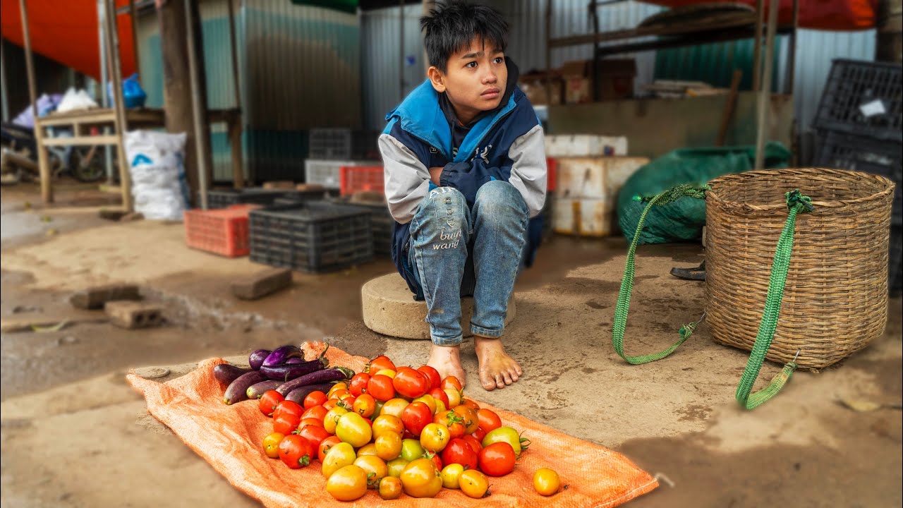 Orphan Brothers: Harvesting Tomatoes and Eggplants to Sell at the Market. Missing My Brother