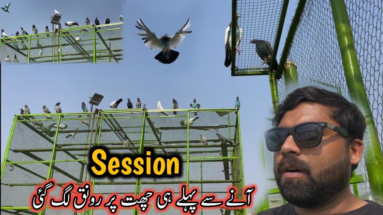 Session Ana Se Pehla Hi Chaat Per Ronak Laga Di 😄