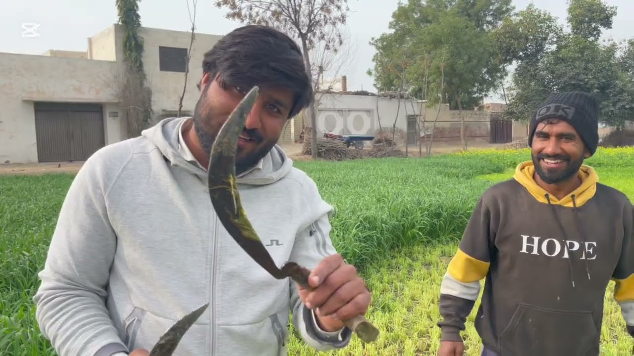 Aaj Khet me Ghaas Kaati aur Janwaron ko Dala | Village Farming Vlog | Daily Life