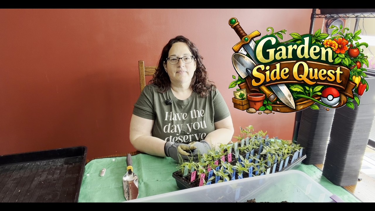 GardenSideQuest - Planting Up Peppers