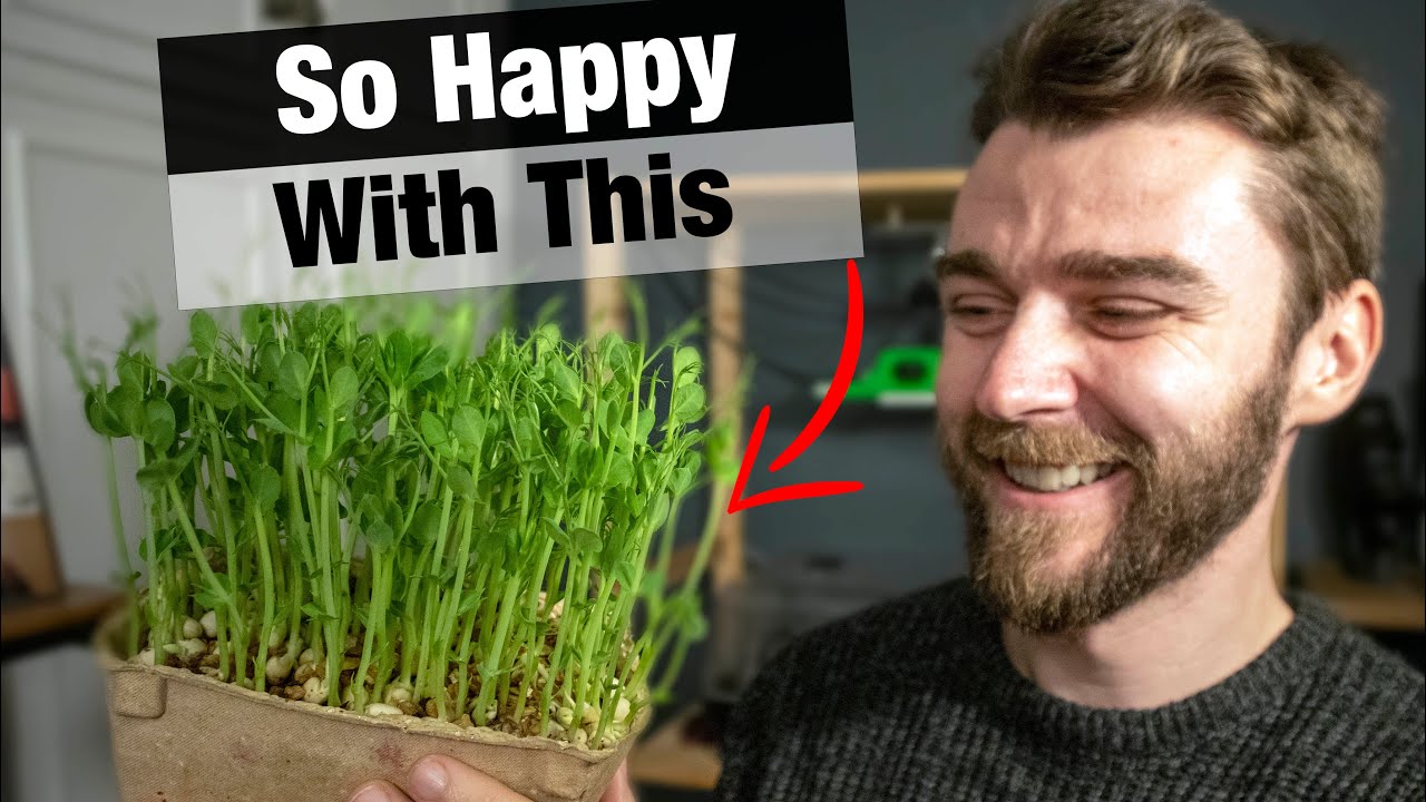 Microgreen Giveaway! | Indoor Grow Update