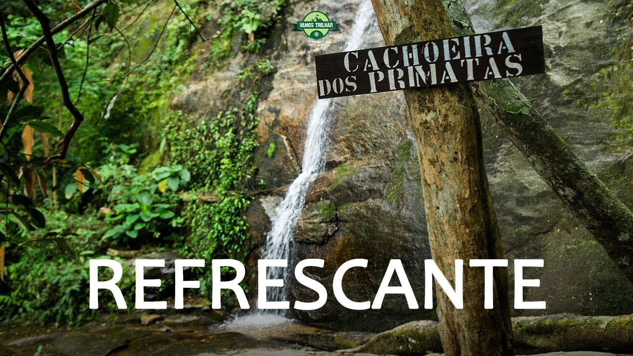 TRILHA DA CACHOEIRA DOS PRIMATAS - HORTO: O QUE FAZER NO RIO #37