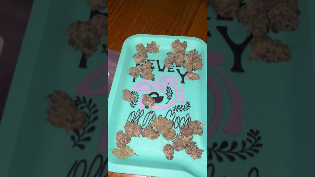 Revelry THCA Flower Indoor Candied Truffles Smalls batch Indica