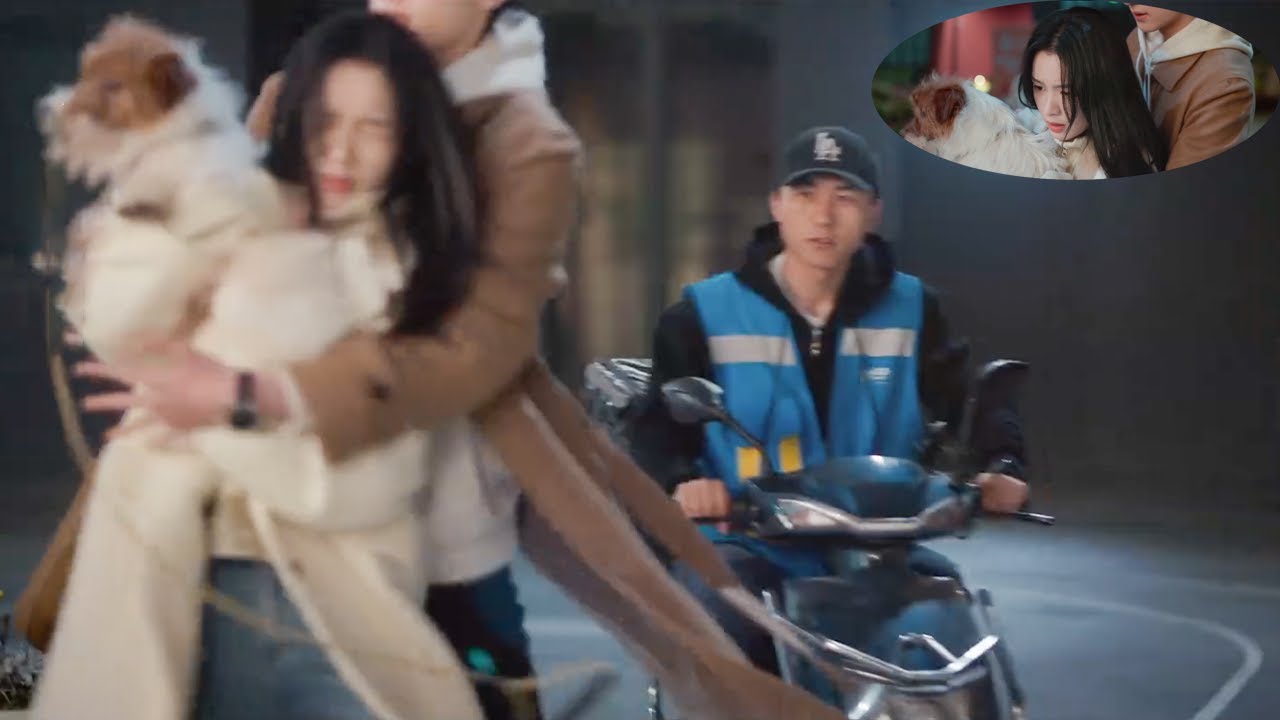 灰姑娘假裝怕狗意在吸引霸總，當她救起小狗的那一刻，霸總也抱起了她！