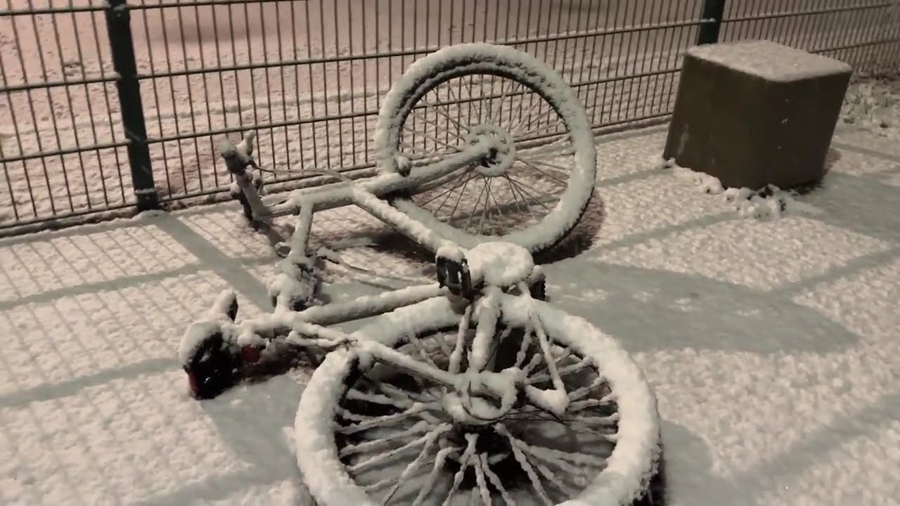 Snowing 2025