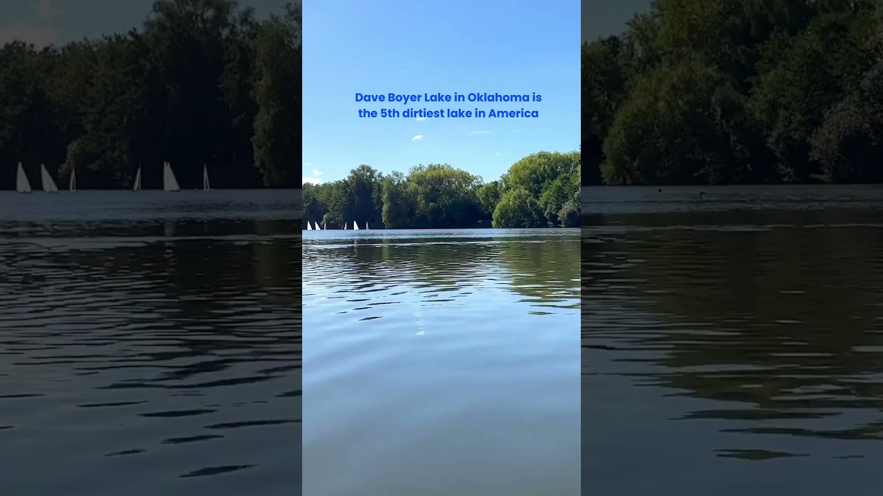 Dave Boyer Lake in Oklahoma is ranked the 5th dirtiest lake in the US. What makes a lake dirty? 🦠