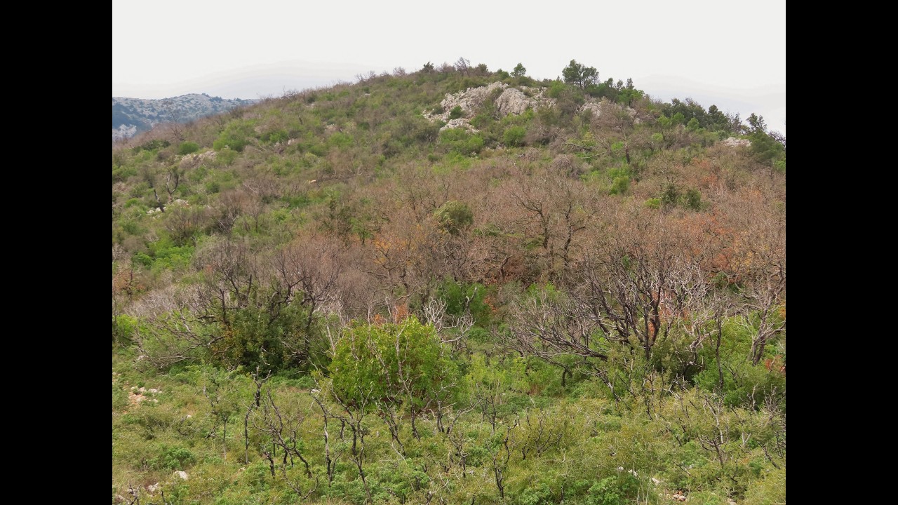 Όρος Πάρνηθα, κορυφές Κατσιμίδι και Τσαούση