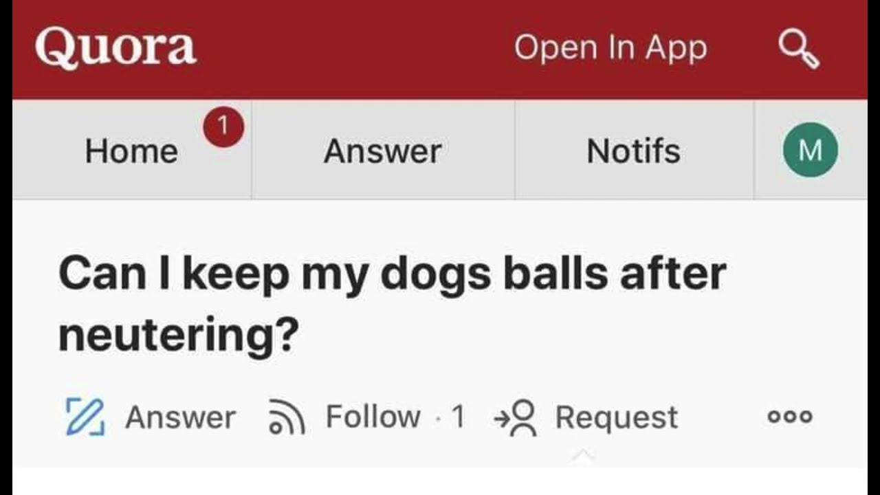 Best of Quora