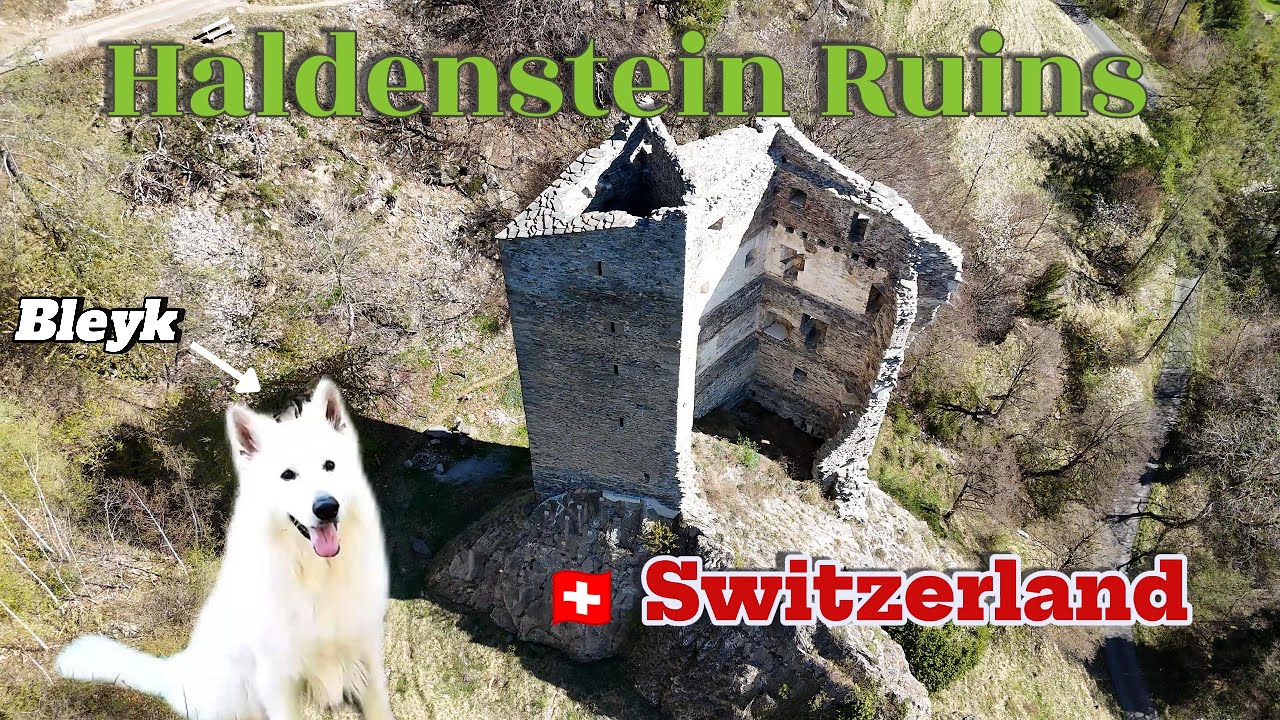 My Dog Discovers the Haldenstein Castle Ruins &ndash; Switzerland