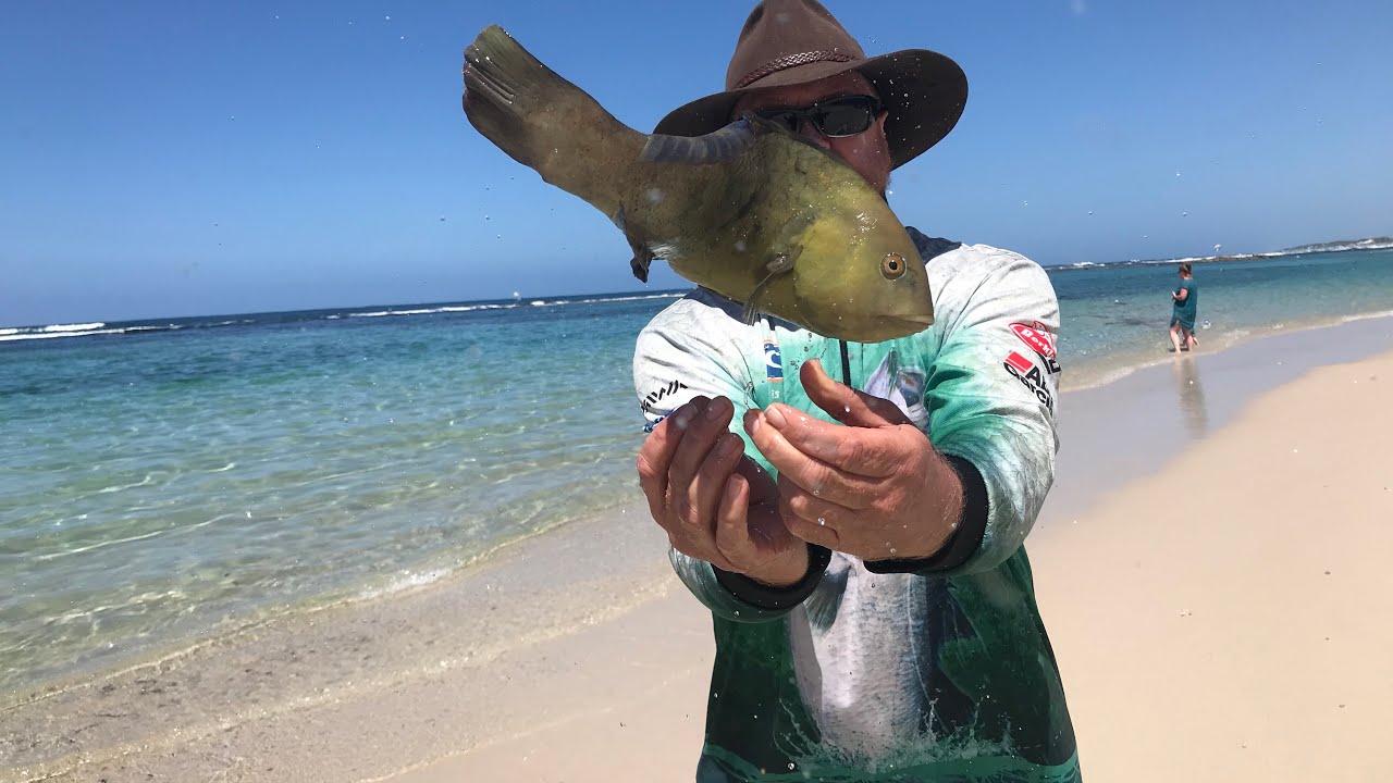 Munglinup - Wrasse all day long