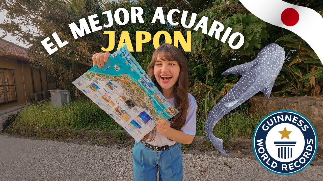 🐋 Este es el acuario mas grande de Japón 🪼// Visitando la isla de Okinawa 🇯🇵