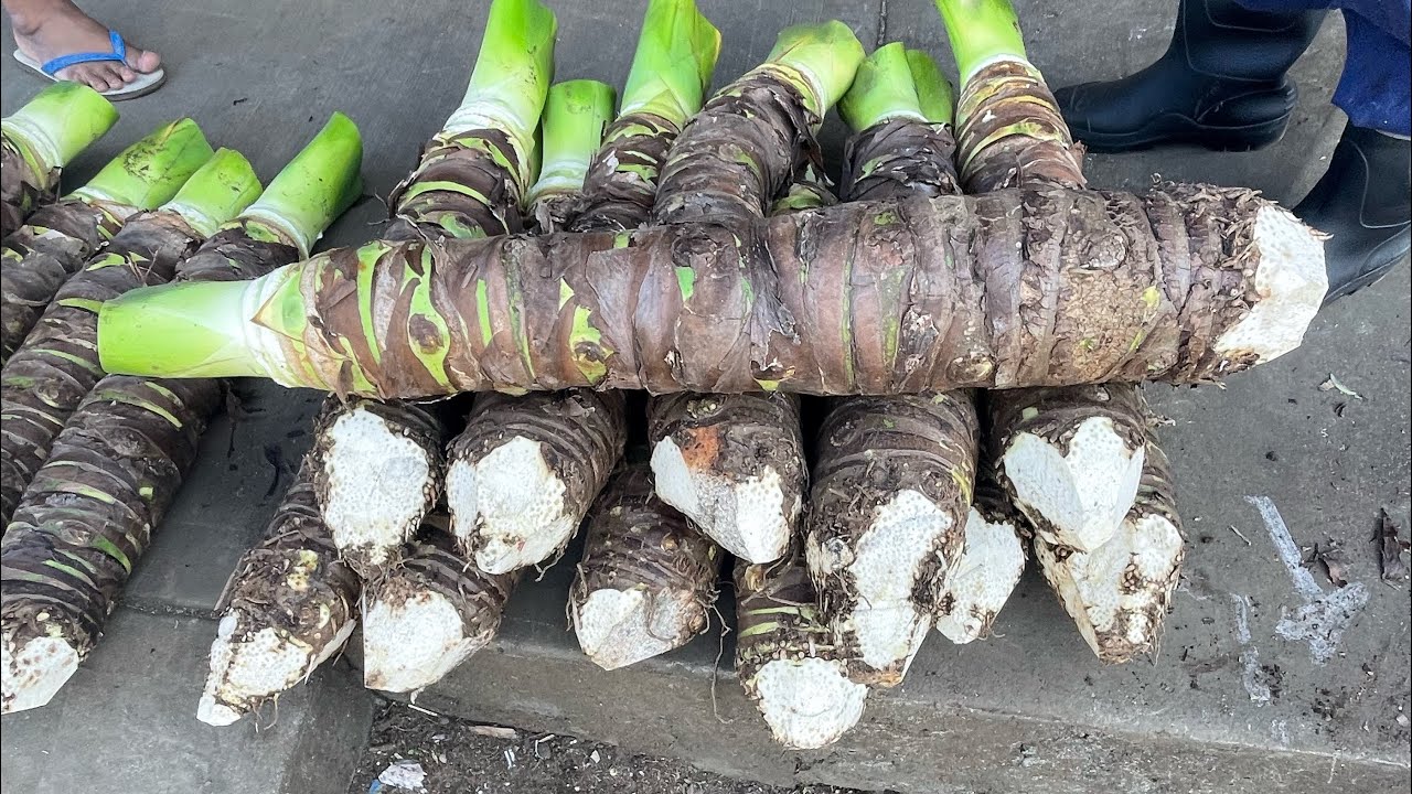 You WILL NOT Find THESE In Any FARMERS MARKET..