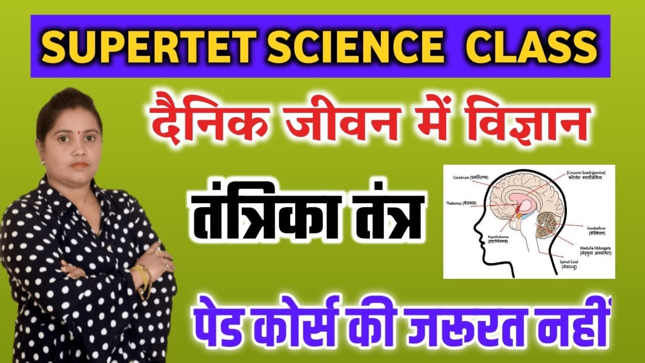 SUPERTET 2022 Biology Nervous System ( तंत्रिका तंत्र ) | Super Tet Dainik Jeevan mein Vigyan 2022