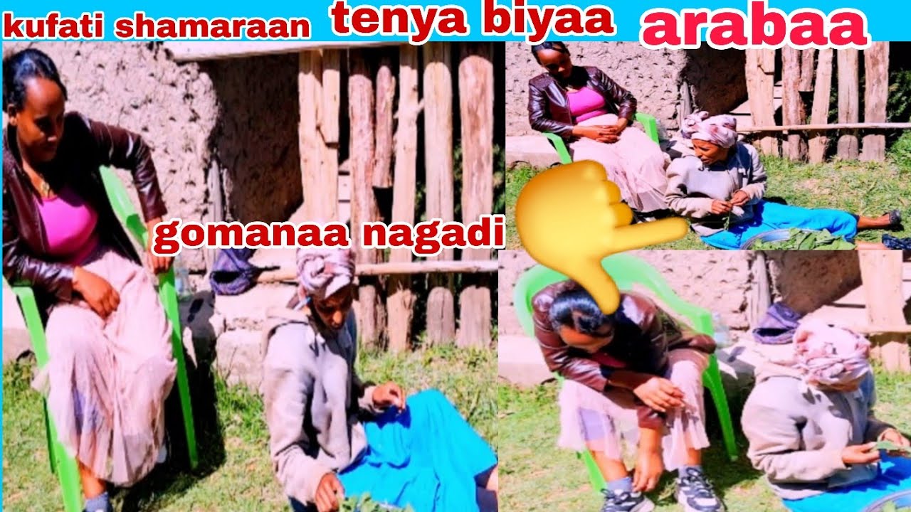 #wale maltuu mudatee kufatii shamaraan tenyaa biyaa arabaa 