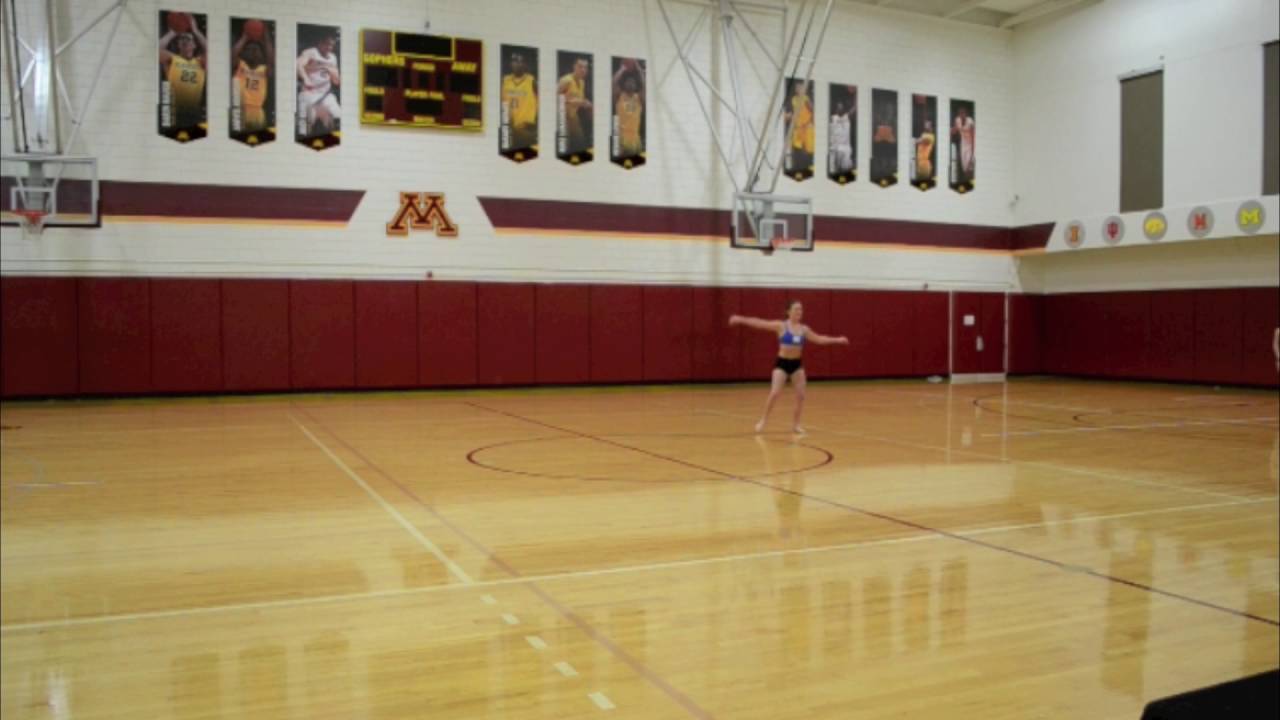 Introducing the 2016 - 2017 University of Minnesota Dance Team
