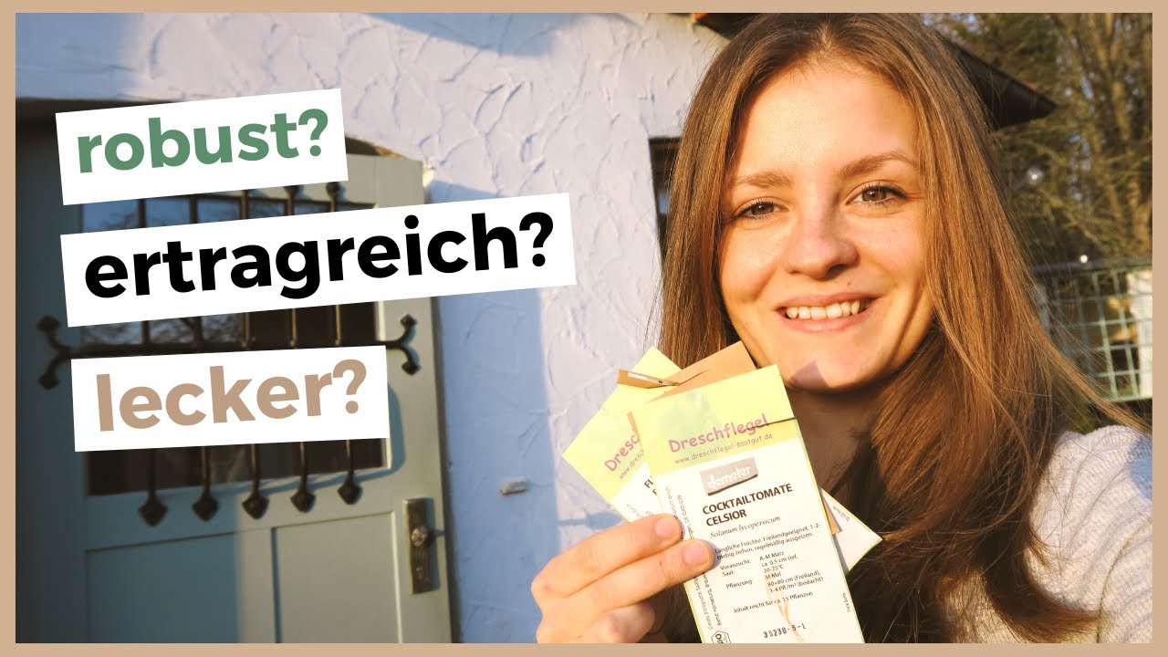 Die 5 besten Tomatensorten f&uuml;r Balkon, Freiland & Gew&auml;chshaus | Tomaten selber ziehen