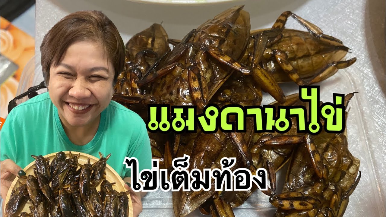 แมงดานาไข่แน่นๆเต็มท้อง ไข่สีเขียวสวยมาก  #ลูกนาค  #food