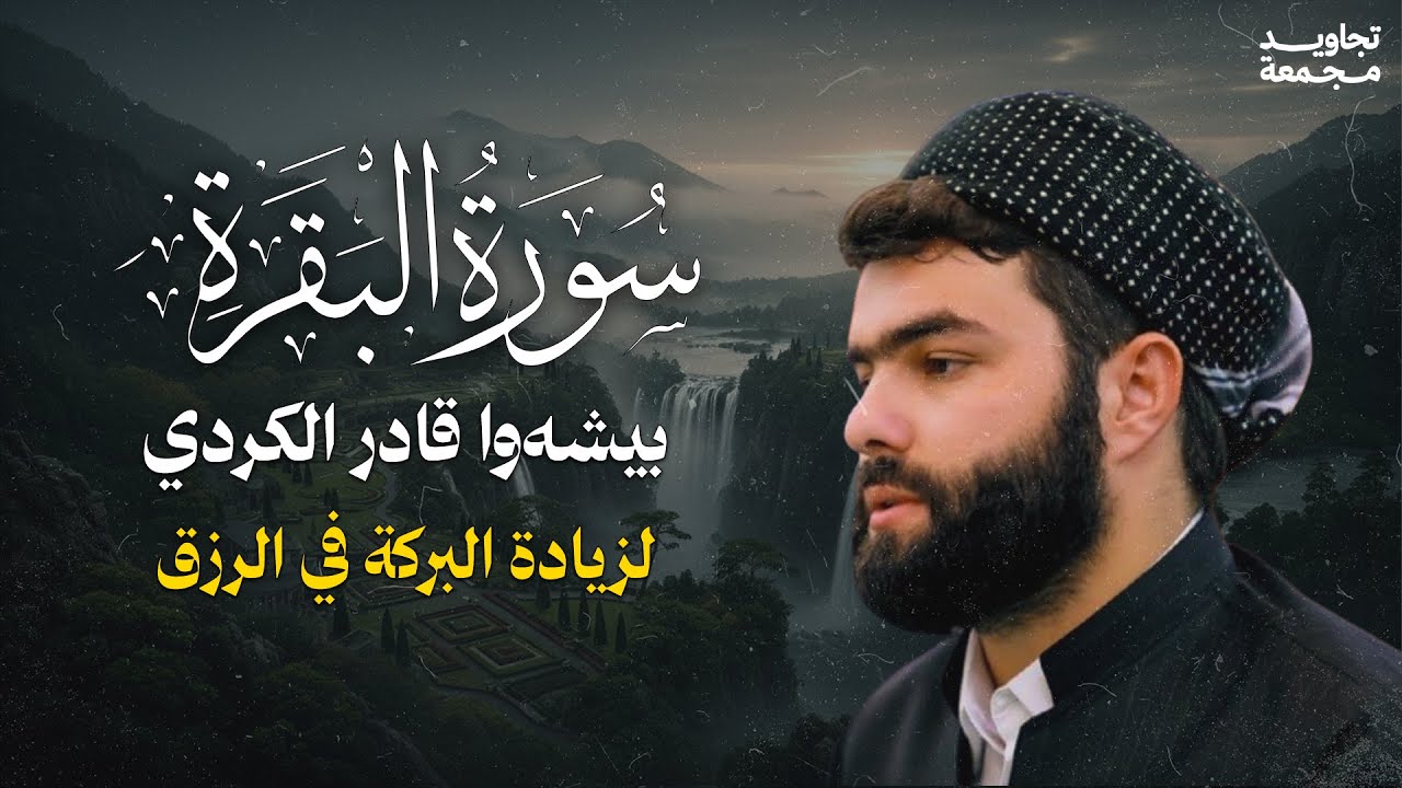 لزيادة البركة في الرزق .. تلاوة مباركة لسورة البقرة | القارئ الشيخ بيشةوا الكردي | تجاويد مجمعة