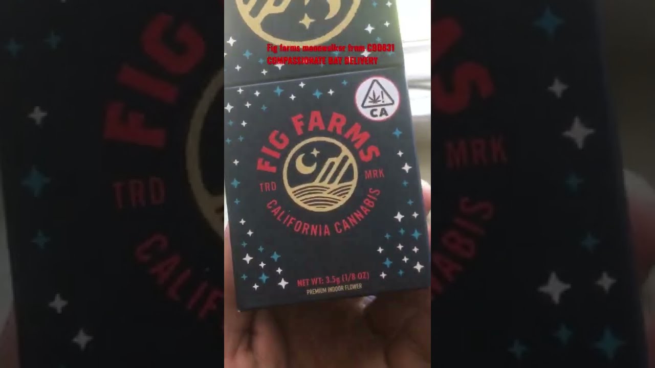 Strain review fig farms moonwalker