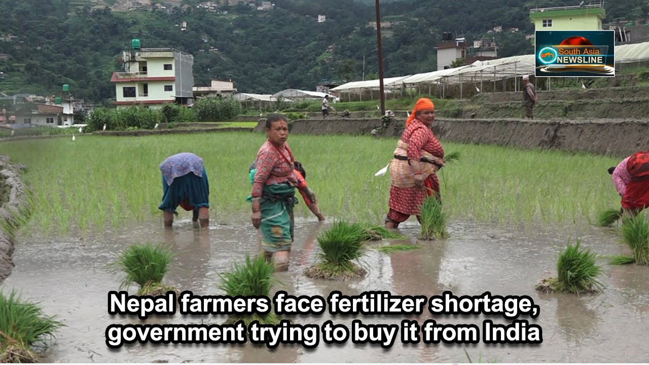 Nepal farmers face fertilizer shortage, government trying to buy it from India