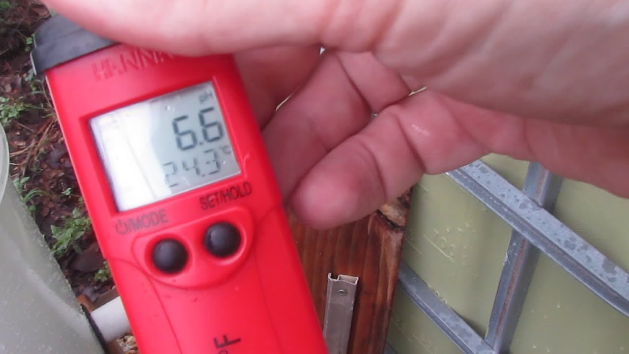 Aquaponic update.. Water quality, Algae bloom testing, Buffering pH & Happy fish..