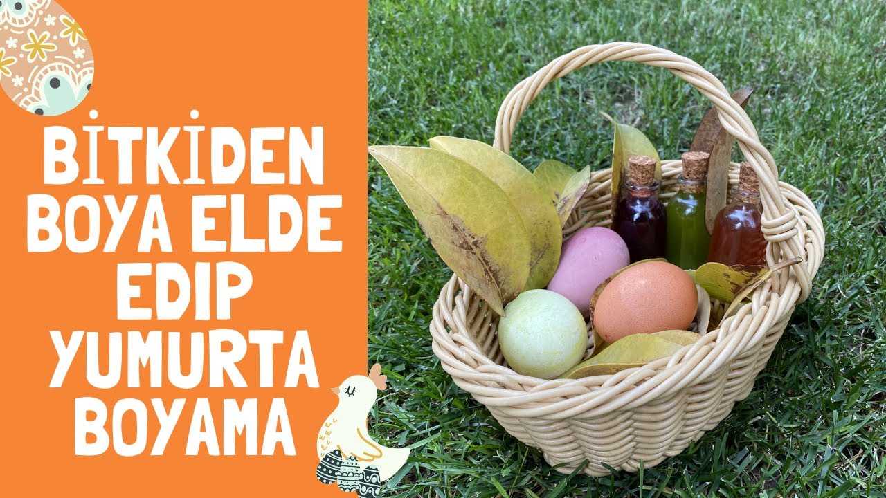 Bitkilerden Doğal Boya elde edip Yumurta Boyama