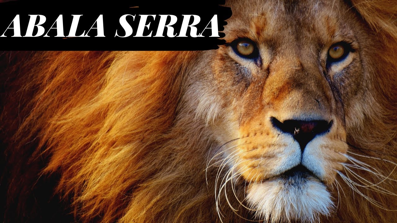 Neide Martins- ABALA SERRA 19&deg;