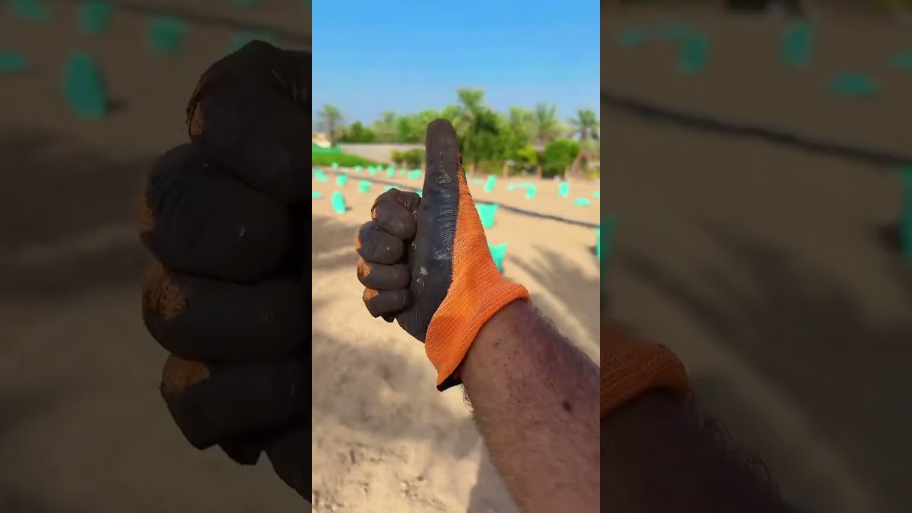 السماد المخصب
