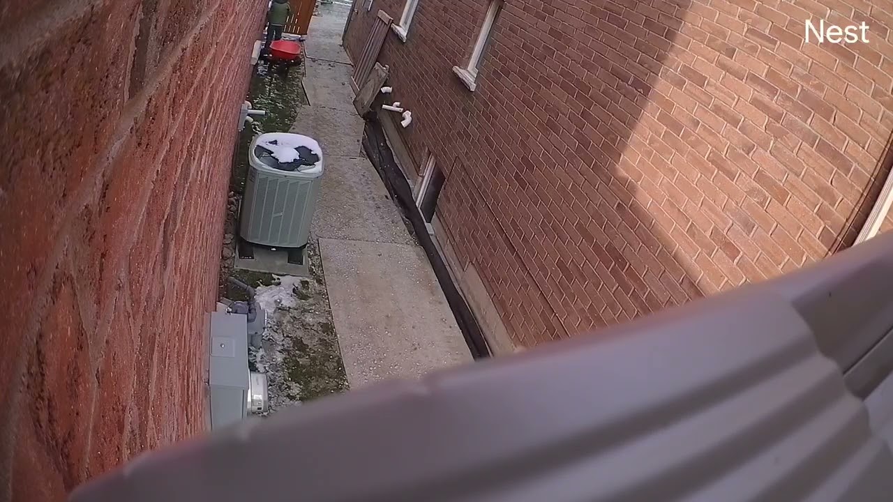 Mandarin Paving employee peeing on our house