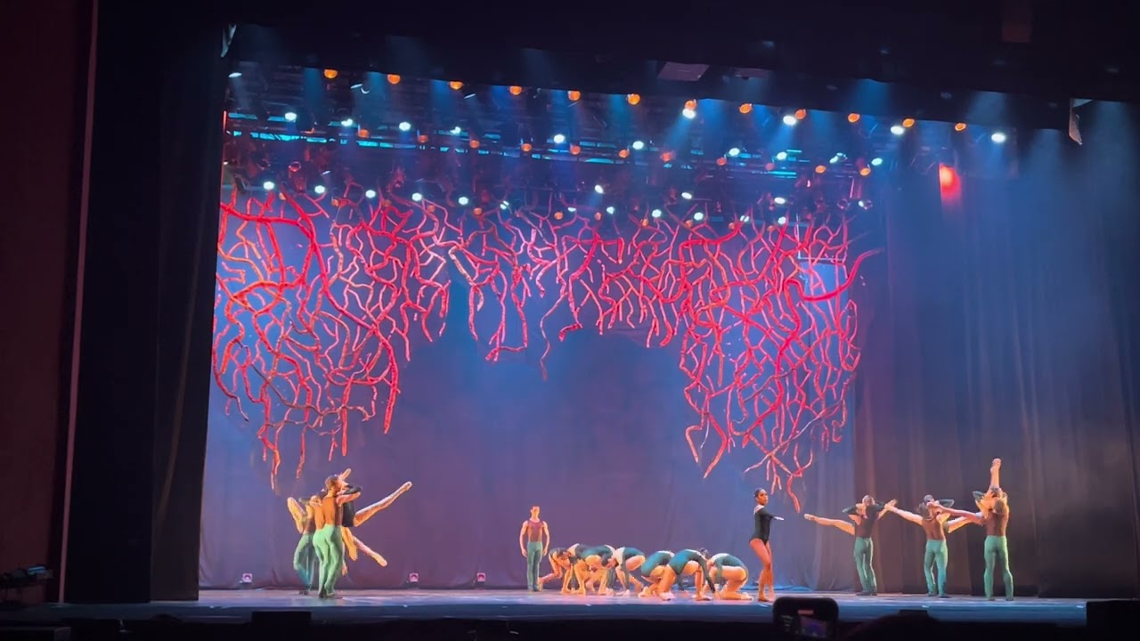 Coreografia Marcos Silva