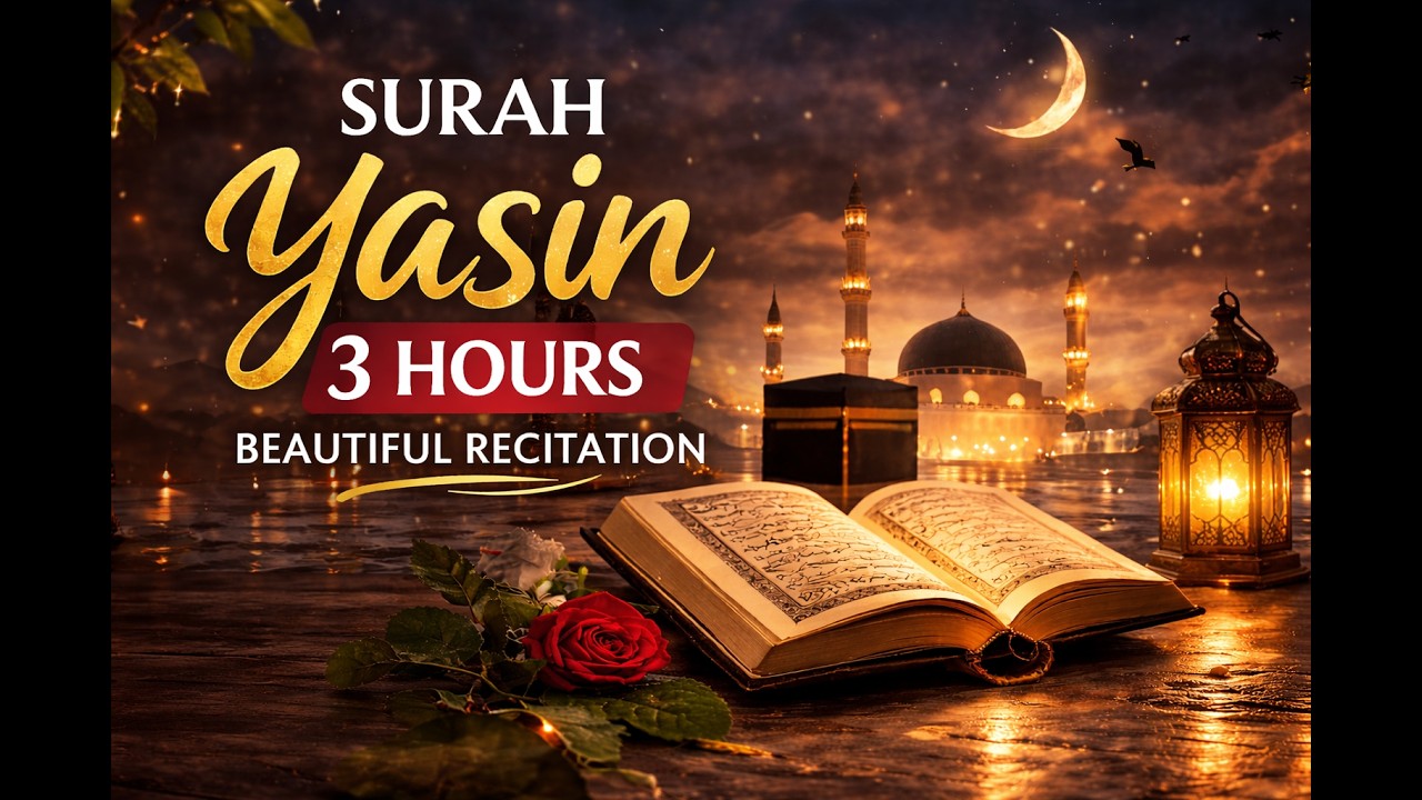 Surah Yasin 3 Hours Beautiful Quran Recitation | Heart of the Quran