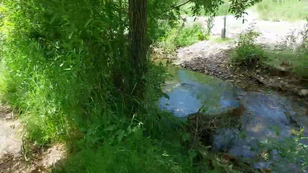 Water means Life CCCXLII 💚💙💙💙