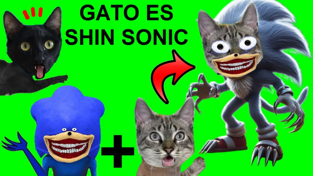 SOY UN GATO SHIN SONIC VS gatitos Luna y Estrella / Videos de Shin Sonic Tapes en la vida real