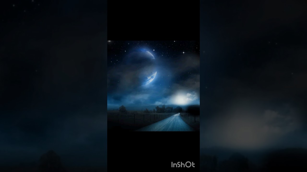 Si la noche no te dejo dormir(LEO Z)