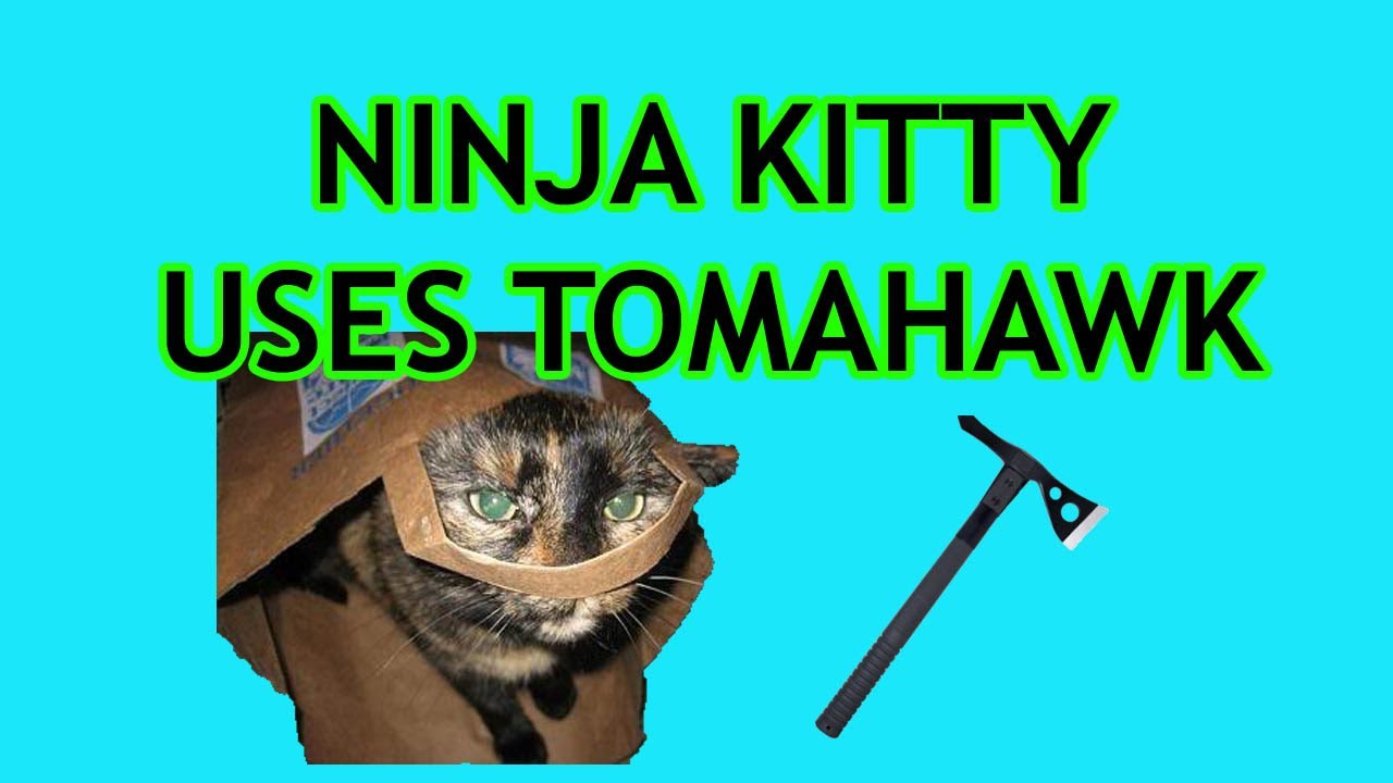 Kittens - NINJA CAT USES TOMAHAWK! :-o!