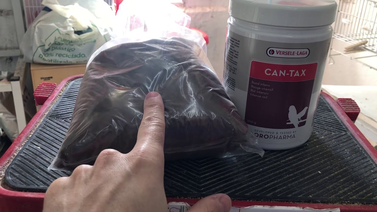 Pigmento rojo para este a&ntilde;o 2021