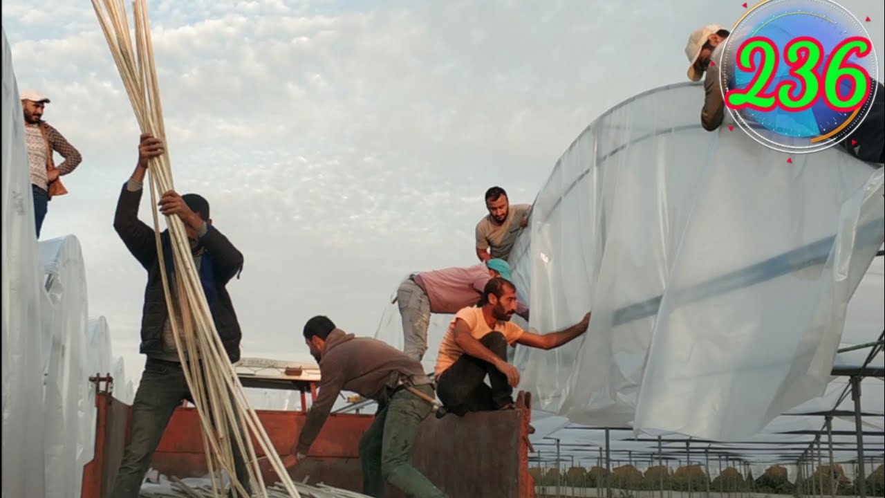 Sera naylonu değişimi, sera bakım onarım tamirat ve tadilat giderlerimiz. Mersin Tarsus