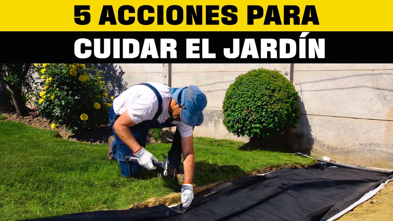Jard&iacute;n libre de plagas y maleza | Taller del especialista