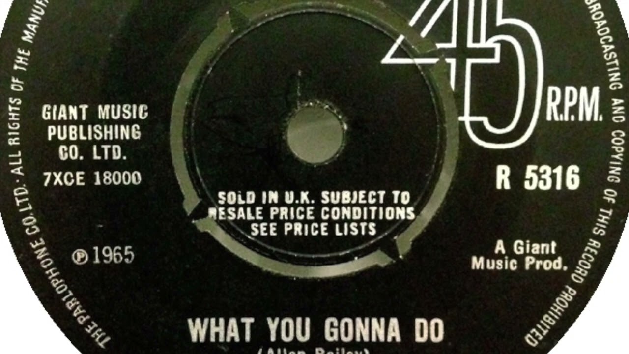 The Shindigs - What You Gonna Do