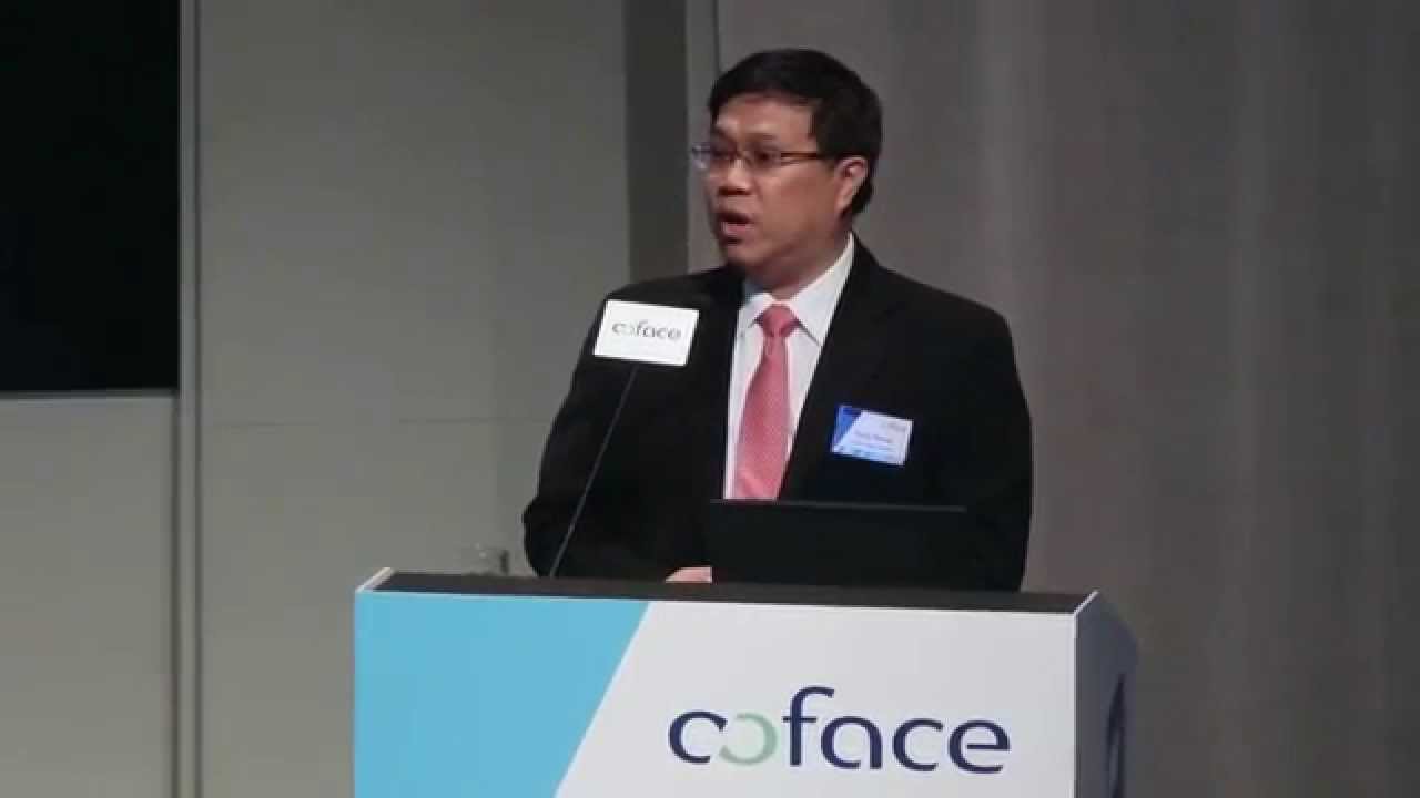 Coface 2015 Country Risk Conference - Opening Remarks - Hung Wong, Coface