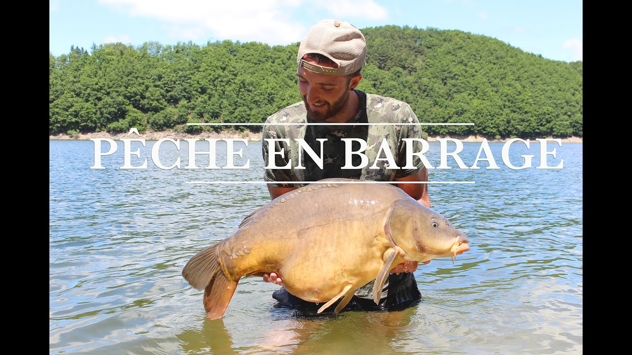 Pêche de la carpe en lac de barrage