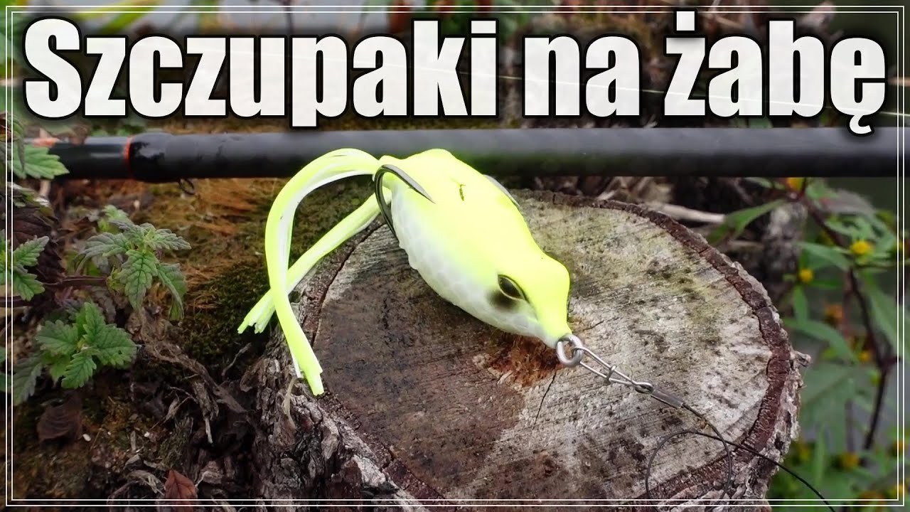 SZCZUPAKI na ŻABĘ z POWIERZCHNI Jak łowić na ŻABĘ | wędkarstwo spinningowe #89