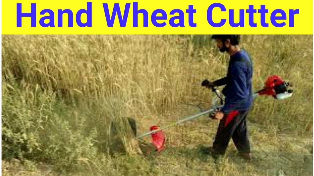 Hand Wheat Cutter